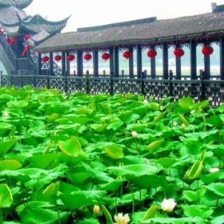 广州番禺长隆欢乐大世界的特产和著名小吃？