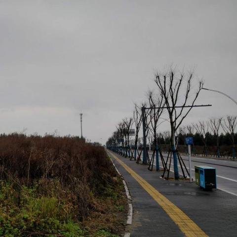 温州市瓯江口属于哪个区