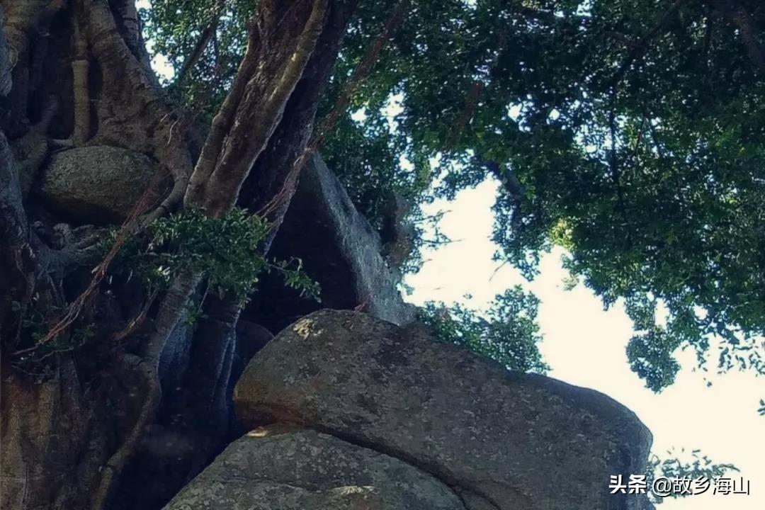 林氏宝宝该怎么起名(先秦时代的姓氏起源是怎么样的)