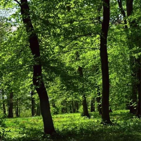 成都市地铁5号线路大丰的长尾关键词有哪些