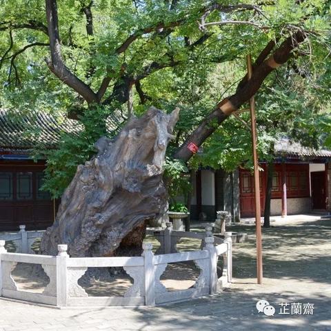 厦门苏舍餐饮有限公司怎么样？