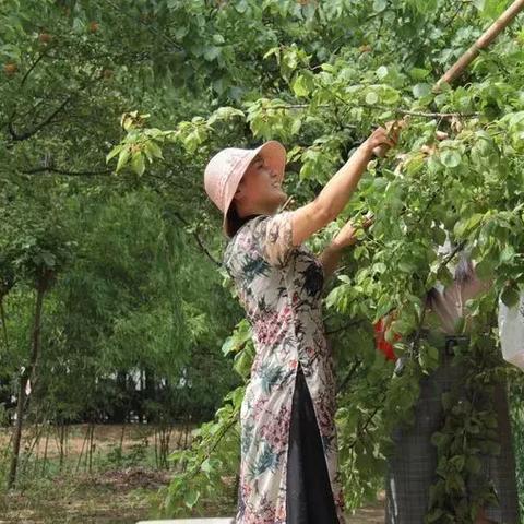 临沂市教招考场在哪个区