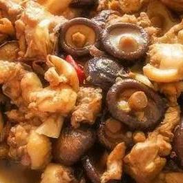 石家庄市石纺路在哪个区