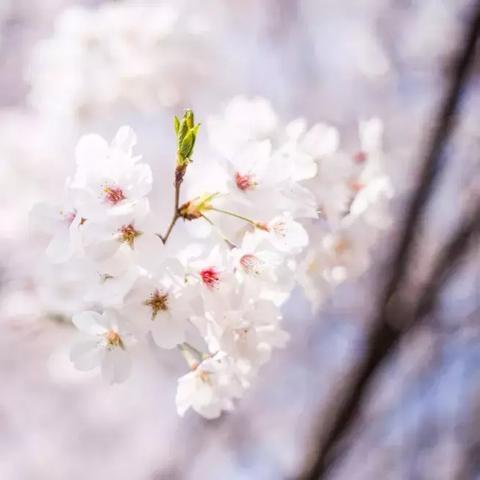 宁波市江厦公园在什么区