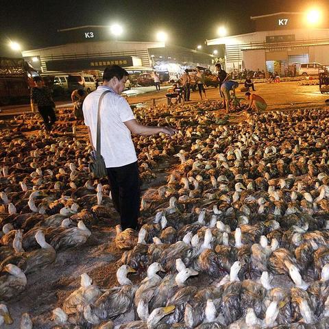 临沂至南宁物流56的相关长尾关键词有哪些