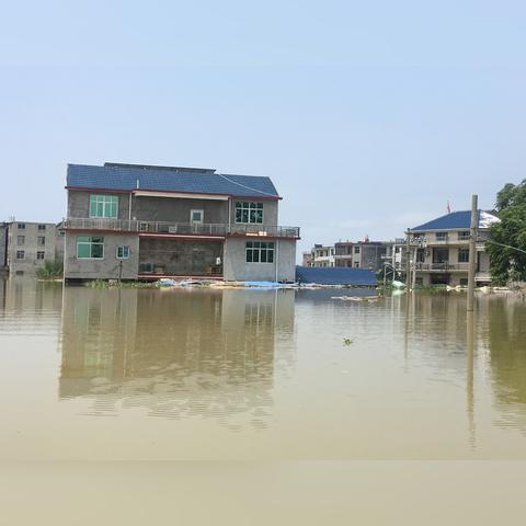 近期发洪水的地方有哪些？