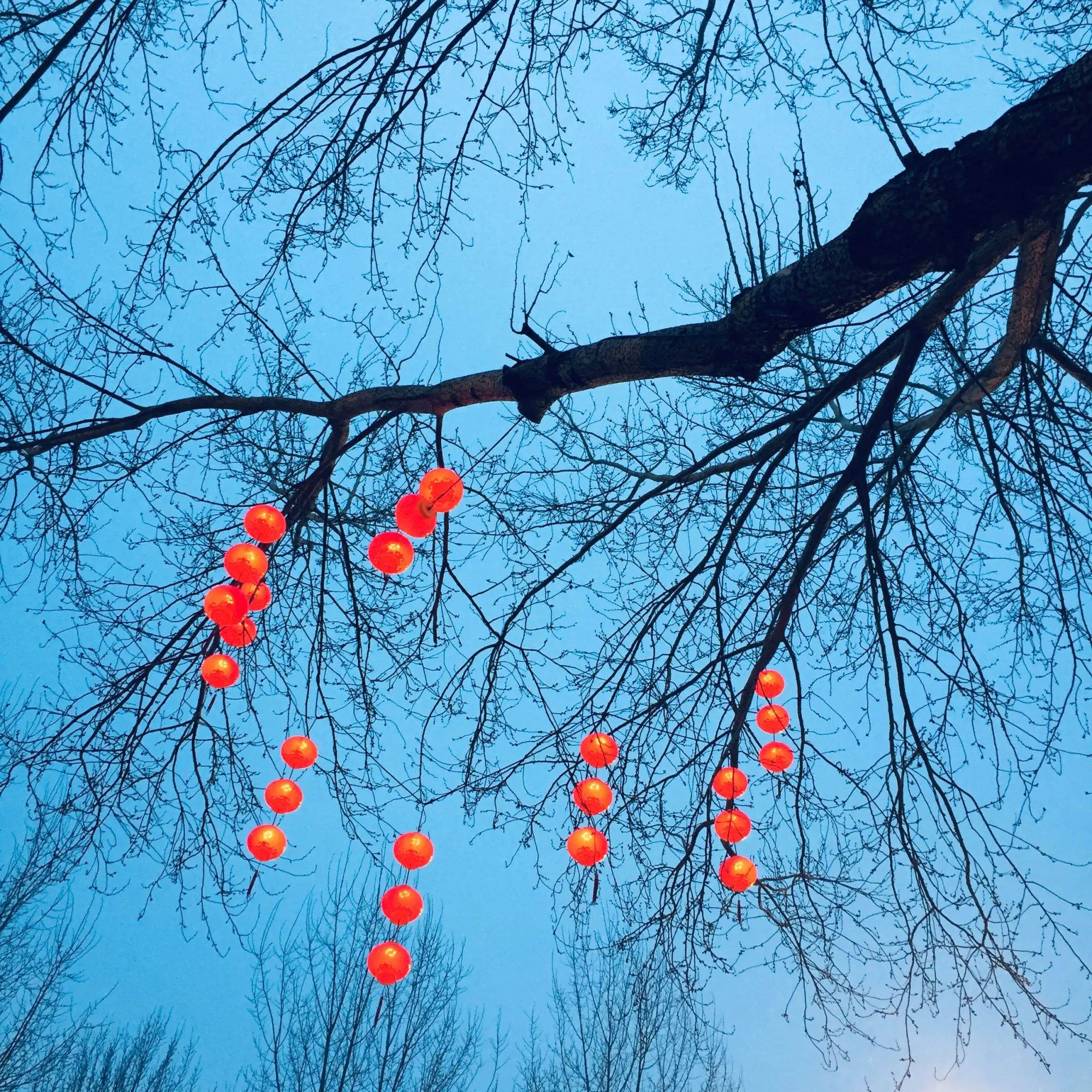 小红书孕妇照 抖音黑白孕妇照怎么