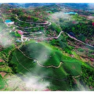 宁波市五大绿道是什么