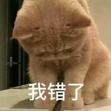 给对象道歉的表情包合集｜送你朵花，我们和好吧