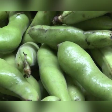 无锡市烧蚕豆哪里好吃啊