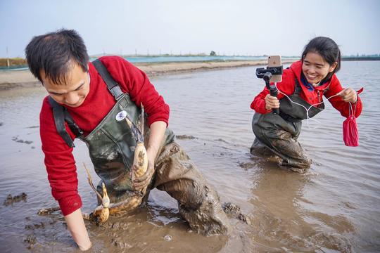 回乡创业就是被城市淘汰？她在泥塘练成洪湖铁娘子，挖藕年销千万