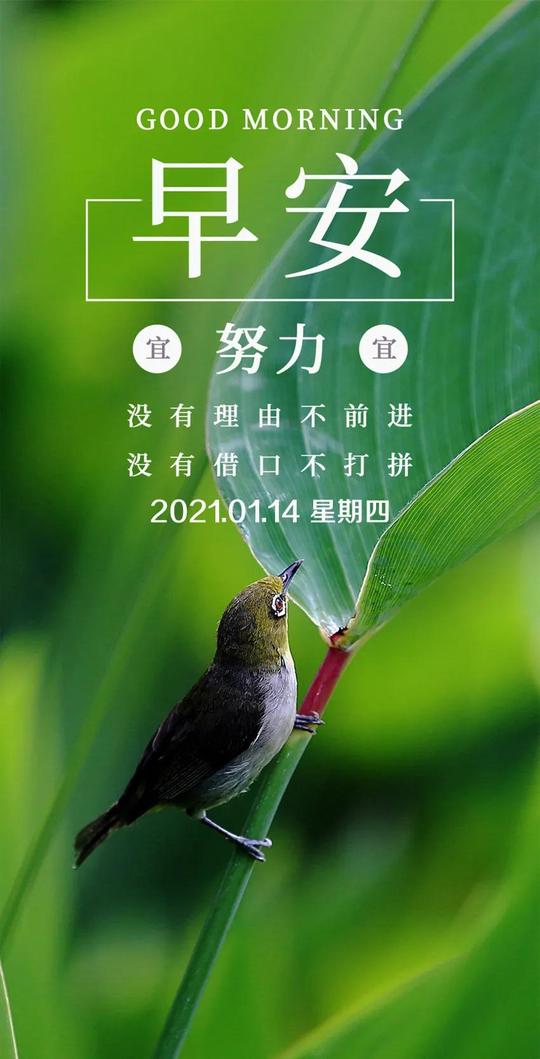 「2021.01.14」早安心语，正能量现实语录微信图片素材