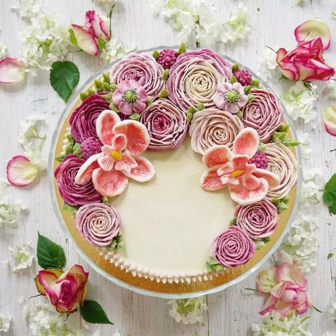 【蝴蝶兰蛋糕天津】相关长尾关键词有哪些