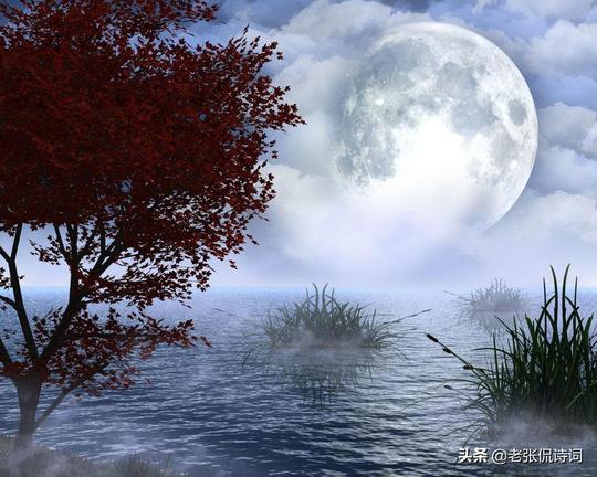 写秋夜月亮冷门的唐诗，28字却有浓厚意境，更有言之不尽的诗意