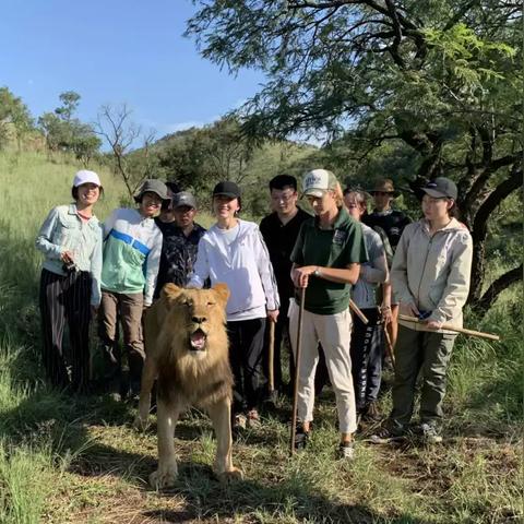 南非跨境电商亚马逊平台 相关的长尾关键词有哪些 