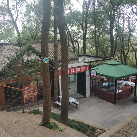 有哪些国家飞上海