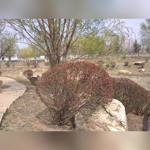 沈阳市白塔区是哪个区