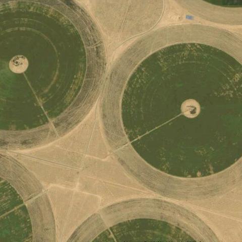 沙特一年每月的气温的长尾关键词有什么