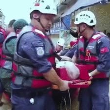 江西航空制服为什么跟厦门航空制服一样？