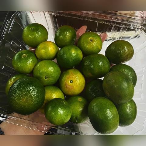 桂林 桔子酒店预订相关长尾关键词有哪些