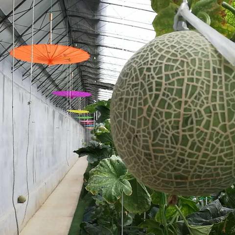 大连市水源街在什么地方