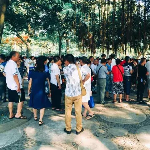 厦门市中山公园什么路