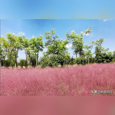 【常熟6月3日天气预报】2025年6月3日常熟天气情况
