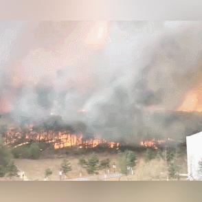 沈阳市这周天气怎么样了