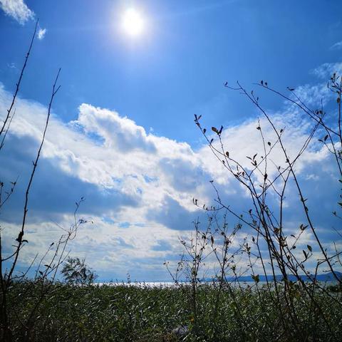 长春市春城北岸二手房的长尾关键词有什么