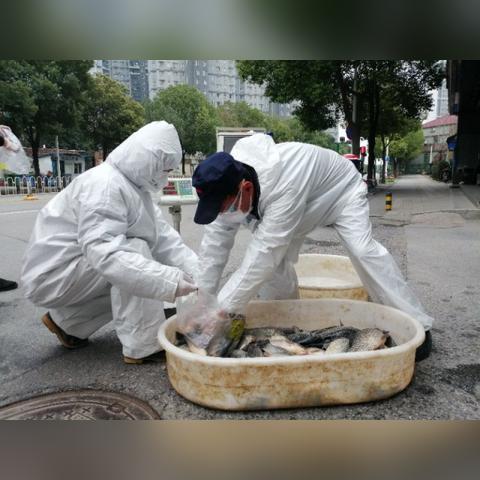 武汉市江夏区有什么小区