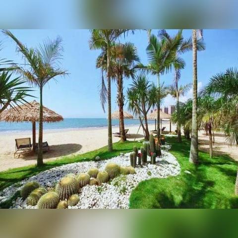 深圳市限行什么时间结束