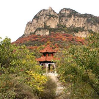 石家庄市鞋厂大全名称是什么