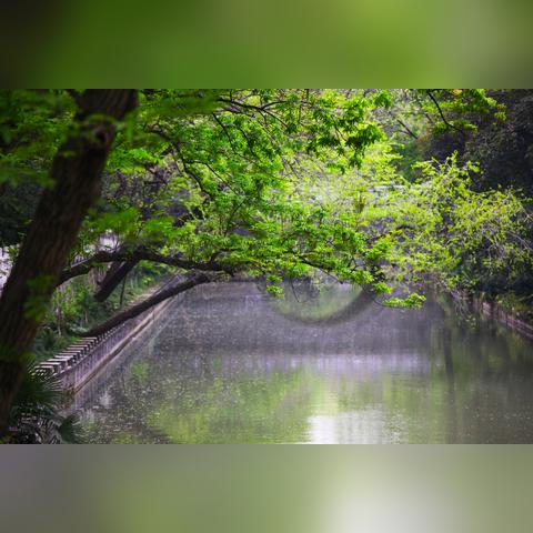 扬州半个月天气怎么样