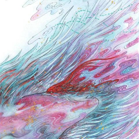 沈阳凤凰鸟相关长尾关键词有哪些