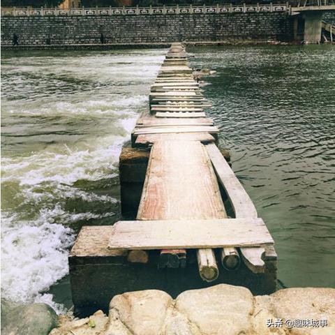 福建哪里有收购甘蔗？