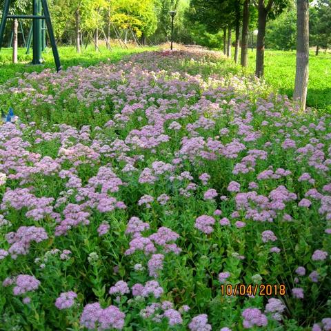 保定市农业生态园价格多少