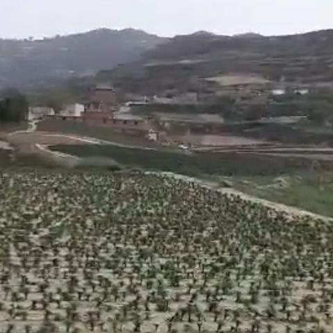 兰州市百合销售点在哪里