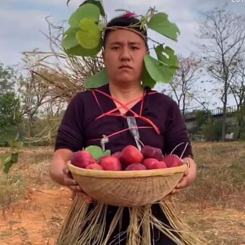 桂林能种植雪莲果吗现在相关长尾关键词有哪些