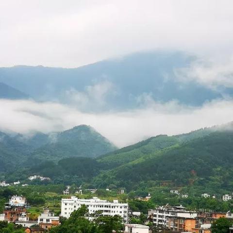 桂林红木四面刨报价相关长尾关键词有哪些