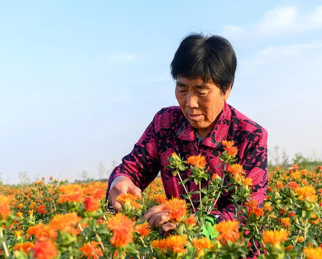 直播收入高吗 什么直播平台收入高