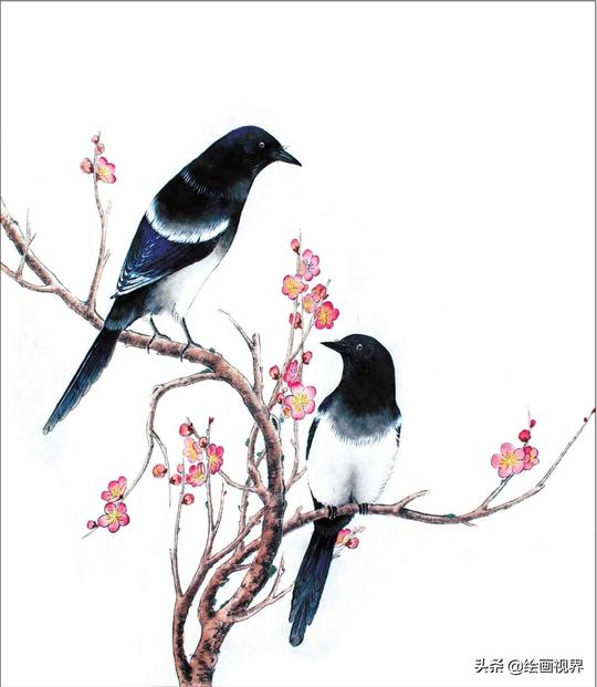 零基础工笔画教程：喜鹊工笔画法讲解，喜欢画工笔画都来临摹！