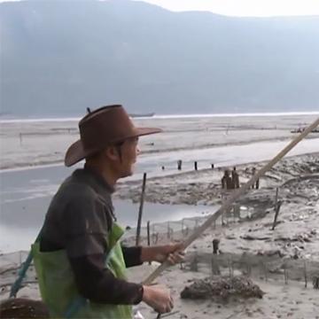 福建养殖地的相关长尾关键词有哪些