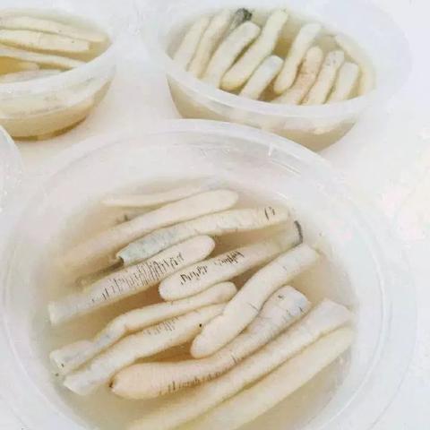 厦门五叔公土笋冻的相关长尾关键词有哪些