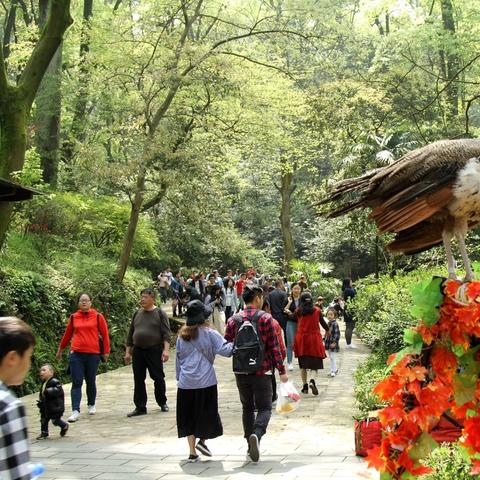 长沙市看到的山是什么山