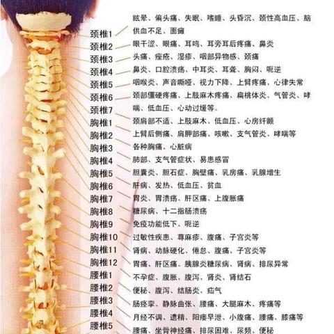 怎么用生辰八字算几两_生辰八字怎么算几两命(生辰八字算几两几钱算命对照表)