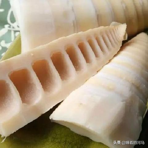 广西桂林有几种竹笋出名相关长尾关键词有哪些