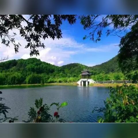 东莞市哪里有烧烤网卖