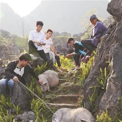 德保到南宁车票多少钱的相关长尾关键词有哪些