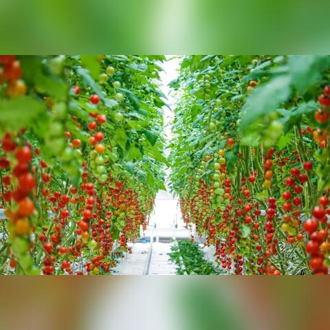 兰州周边冬季十大最佳去处？