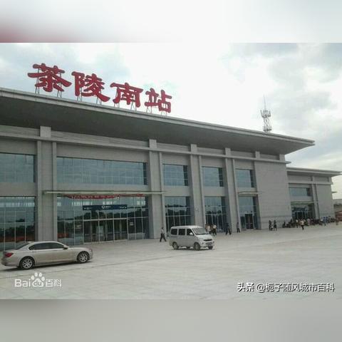 茶陵人在广州市有多少人